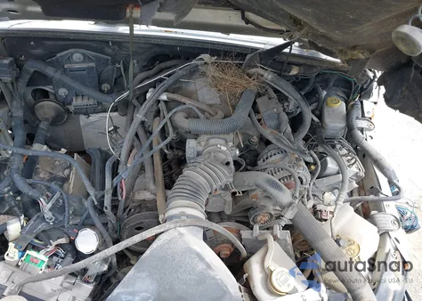 2008 Jeep Wrangler Rubicon z USA, uszkodzony, nr VIN 1J4GA64188L503099